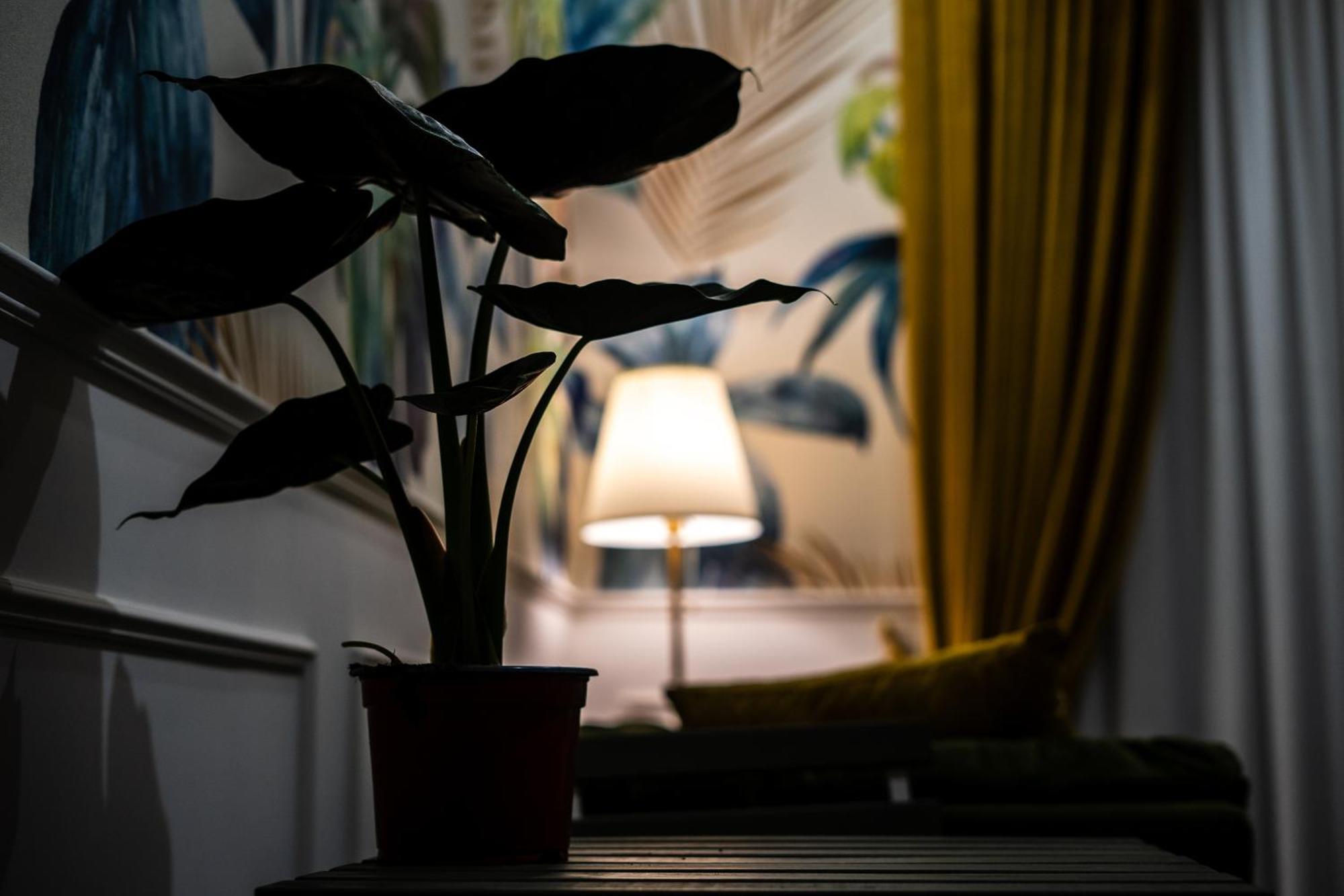 La Grande Bellezza Bed & Breakfast Наполи Екстериор снимка